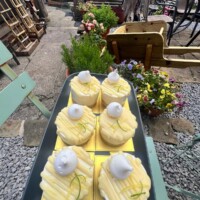 Fresh homemade cakes at Mia’s Bakes & Cakes Dodworth