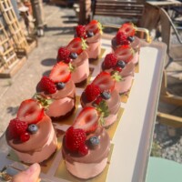 Fresh homemade cakes at Mia’s Bakes & Cakes Dodworth